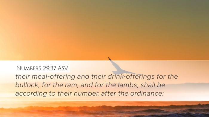 Numbers 29:37 ASV Desktop Wallpaper - their meal-offering and their drink-offerings for - Desktop Bible Verse Wallpaper