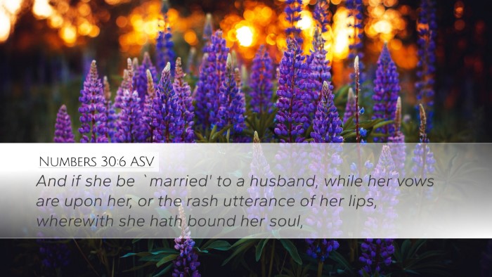 Numbers 30:6 ASV Bible Verse Image