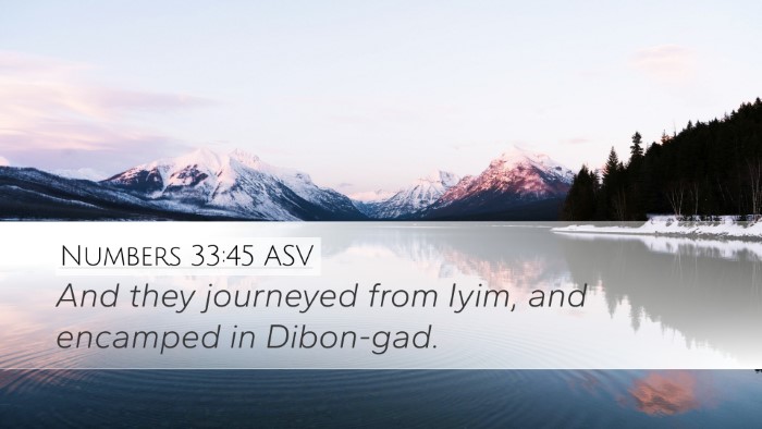 Numbers 33:45 ASV Bible Verse Image