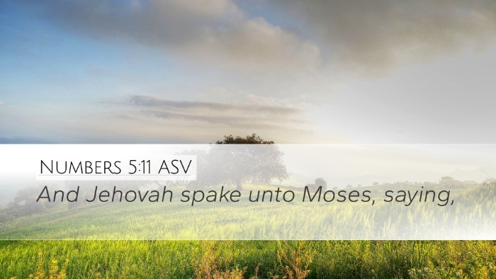 Numbers 5:11 ASV Bible Verse Image