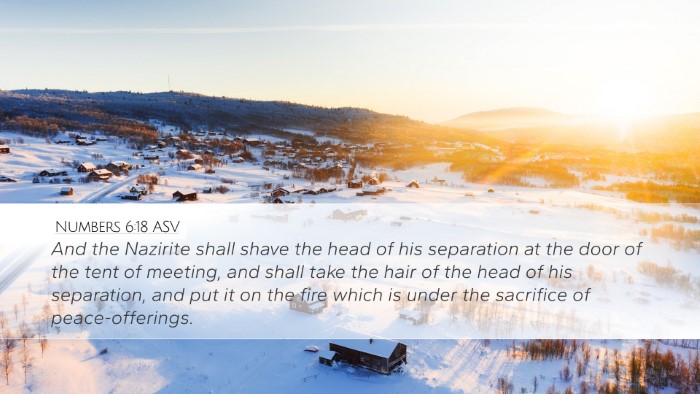 Numbers 6:18 ASV Bible Verse Image