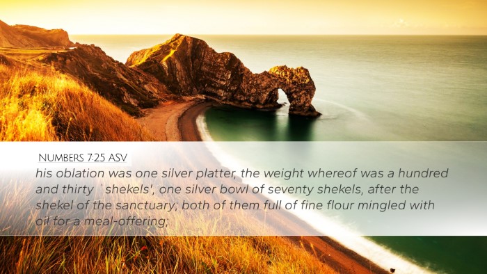 Numbers 7:25 ASV Desktop Wallpaper - his oblation was one silver platter, the weight - Desktop Bible Verse Wallpaper