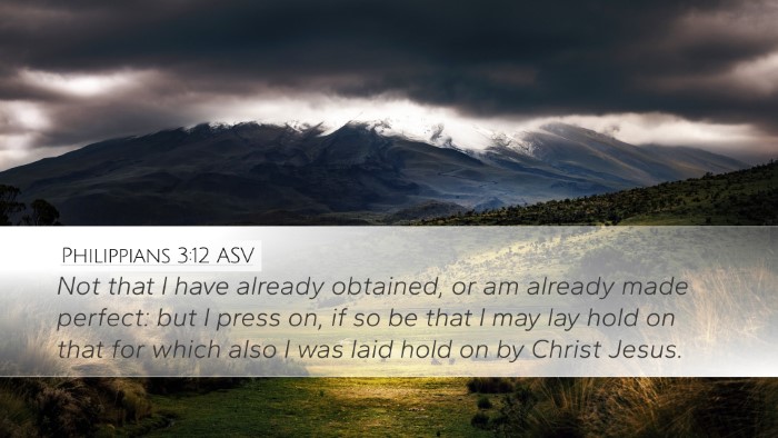 Philippians 3:12 ASV Bible Verse Image