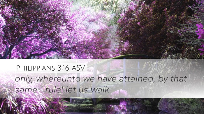 Philippians 3:16 ASV Bible Verse Image