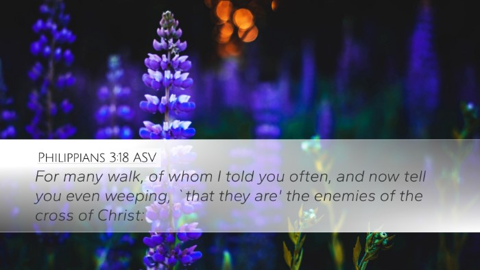 Philippians 3:18 ASV Bible Verse Image