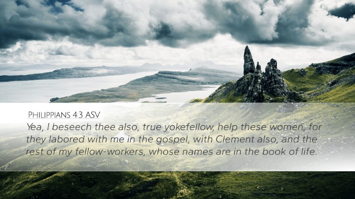 Philippians 4:3 ASV Bible Verse Image