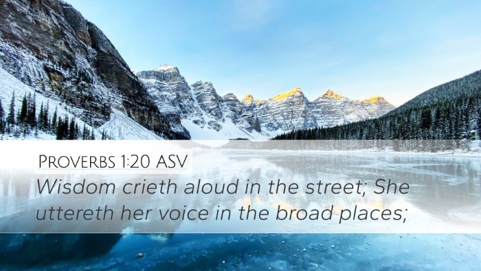 Proverbs 1:20 ASV Bible Verse Image