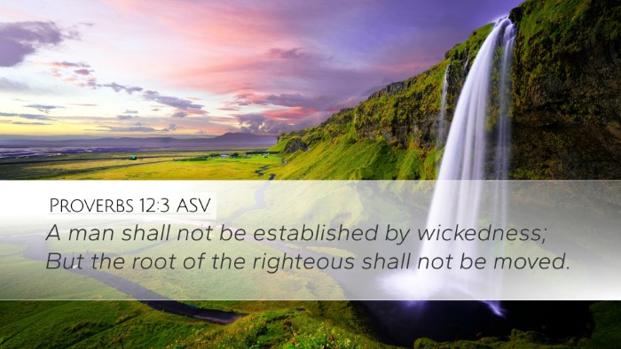 Proverbs 12:3 ASV Bible Verse Image