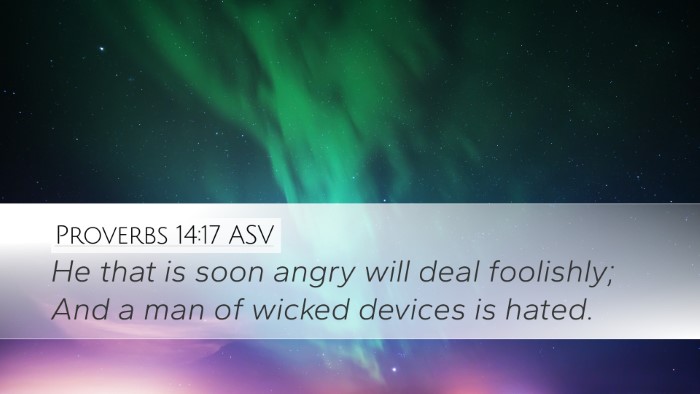 Proverbs 14:17 ASV Bible Verse Image