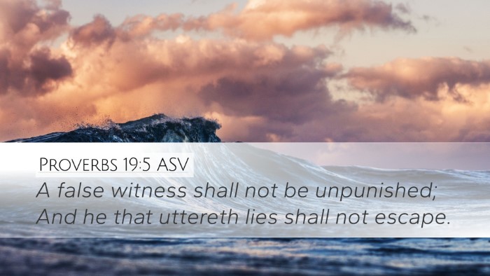 Proverbs 19:5 ASV Bible Verse Image