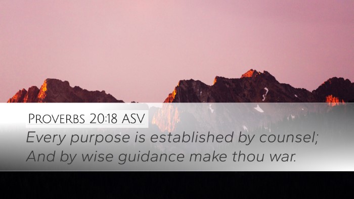 Proverbs 20:18 ASV Bible Verse Image