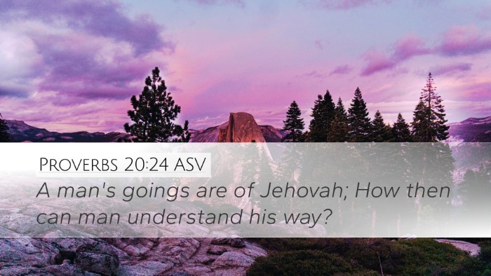 Proverbs 20:24 ASV Desktop Wallpaper - A man's goings are of Jehovah; How then can man - Desktop Bible Verse Wallpaper
