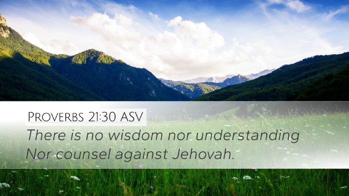 Proverbs 21:30 ASV Bible Verse Image