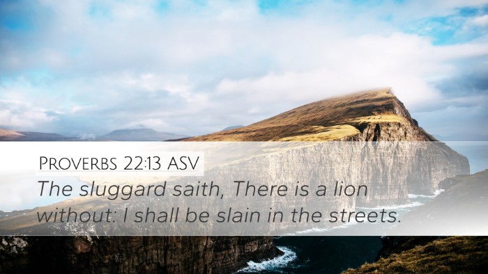 Proverbs 22:13 ASV Desktop Wallpaper - The sluggard saith, There is a lion without: I - Desktop Bible Verse Wallpaper