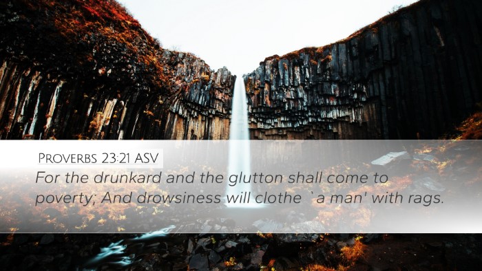 Proverbs 23:21 ASV Bible Verse Image