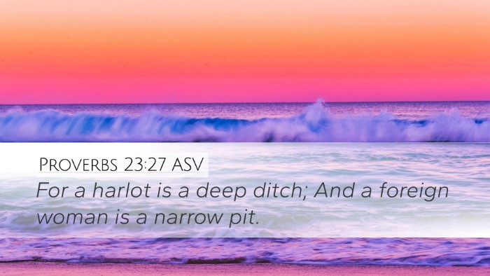 Proverbs 23:27 ASV Bible Verse Image