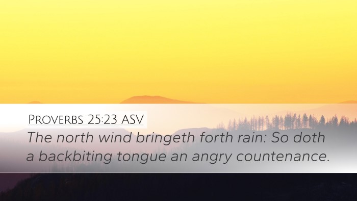 Proverbs 25:23 ASV Desktop Wallpaper - The north wind bringeth forth rain: So doth a - Desktop Bible Verse Wallpaper