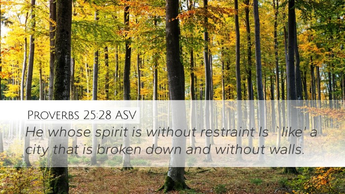 Proverbs 25:28 ASV Bible Verse Image
