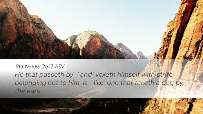 Proverbs 26:17 ASV Desktop Wallpaper - He that passeth by, `and' vexeth himself with - Desktop Bible Verse Wallpaper