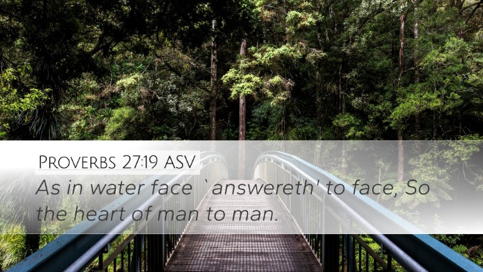 Proverbs 27:19 ASV Desktop Wallpaper - As in water face `answereth' to face, So the - Desktop Bible Verse Wallpaper