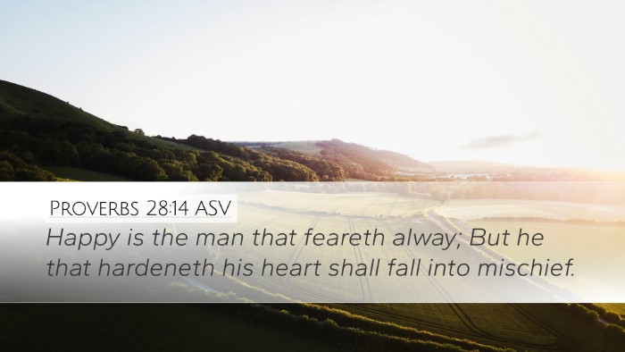 Proverbs 28:14 ASV Bible Verse Image
