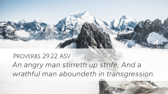 Proverbs 29:22 ASV Bible Verse Image