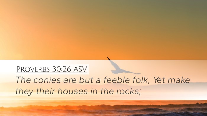 Proverbs 30:26 ASV Desktop Wallpaper - The conies are but a feeble folk, Yet make they - Desktop Bible Verse Wallpaper