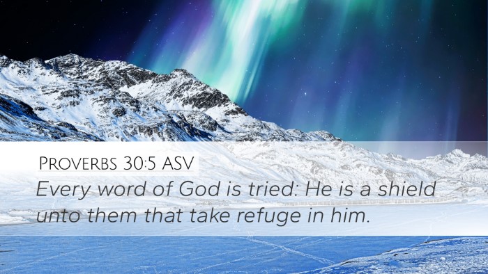 Proverbs 30:5 ASV Desktop Wallpaper - Every word of God is tried: He is a shield unto - Desktop Bible Verse Wallpaper