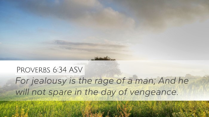 Proverbs 6:34 ASV Desktop Wallpaper - For jealousy is the rage of a man; And he will - Desktop Bible Verse Wallpaper