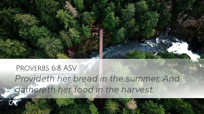 Proverbs 6:8 ASV Bible Verse Image