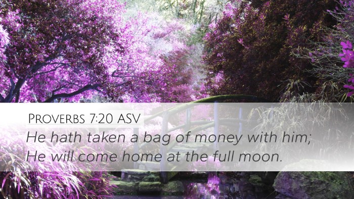 Proverbs 7:20 ASV Desktop Wallpaper - He hath taken a bag of money with him; He will - Desktop Bible Verse Wallpaper