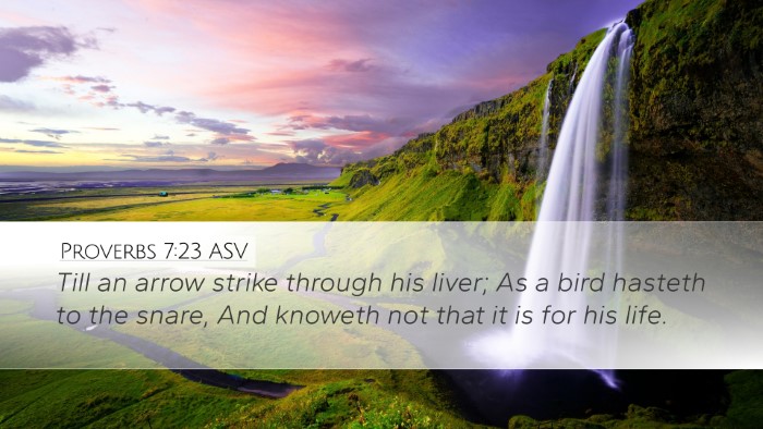 Proverbs 7:23 ASV Bible Verse Image