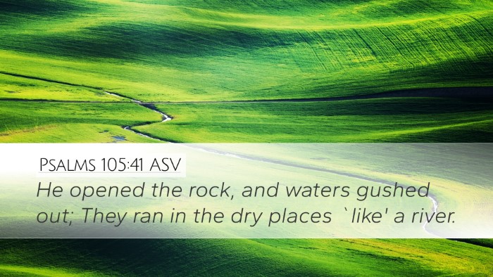 Psalms 105:41 ASV Bible Verse Image