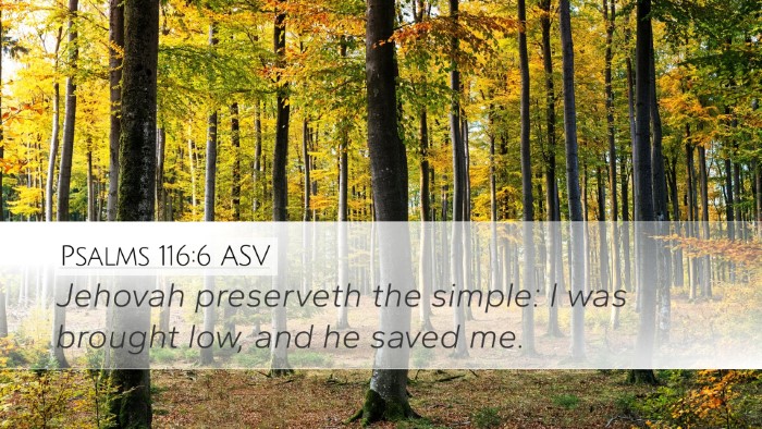Psalms 116:6 ASV Bible Verse Image
