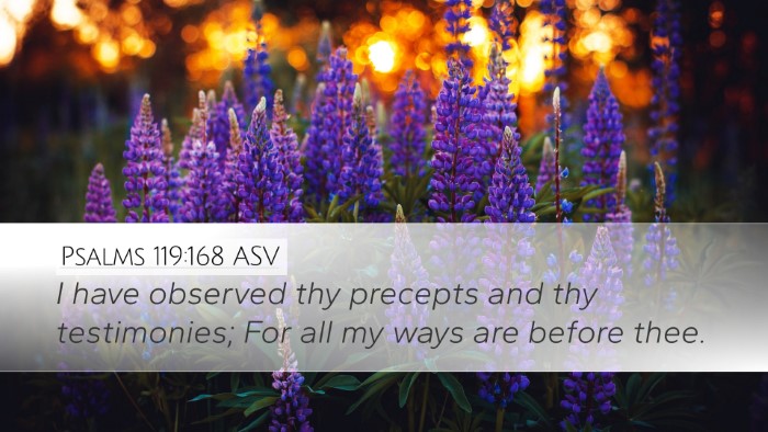Psalms 119:168 ASV Bible Verse Image