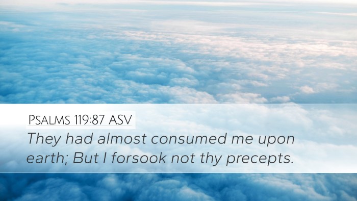 Psalms 119:87 ASV Desktop Wallpaper - They had almost consumed me upon earth; But I - Desktop Bible Verse Wallpaper
