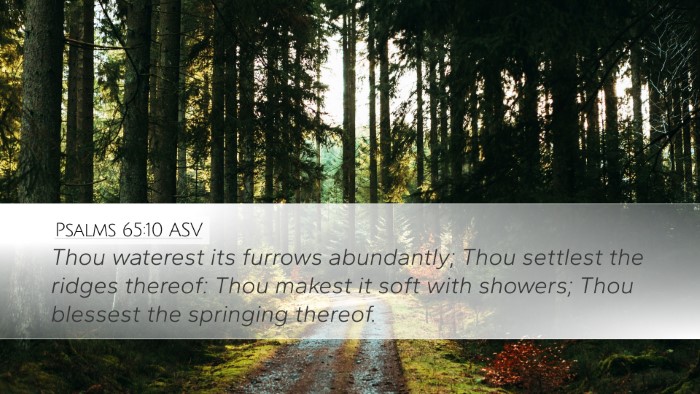 Psalms 65:10 ASV Bible Verse Image