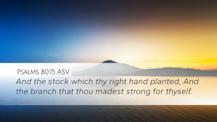 Psalms 80:15 ASV Bible Verse Image