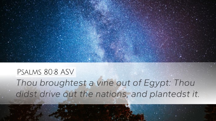Psalms 80:8 ASV Bible Verse Image