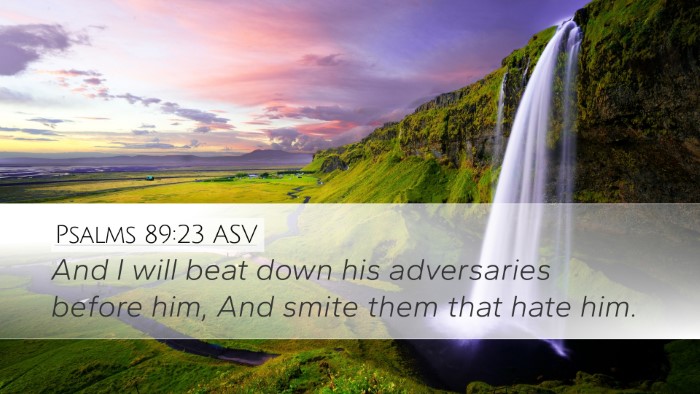 Psalms 89:23 ASV Desktop Wallpaper - And I will beat down his adversaries before him, - Desktop Bible Verse Wallpaper