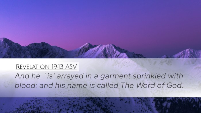 Revelation 19:13 ASV Bible Verse Image