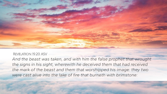 Revelation 19:20 ASV Bible Verse Image