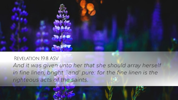 Revelation 19:8 ASV Bible Verse Image