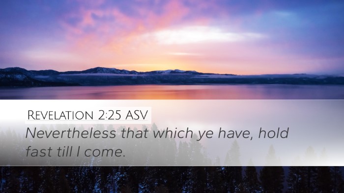 Revelation 2:25 ASV Bible Verse Image