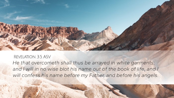 Revelation 3:5 ASV Bible Verse Image