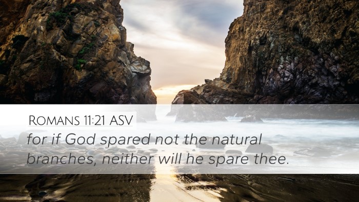 Romans 11:21 ASV Desktop Wallpaper - for if God spared not the natural branches, - Desktop Bible Verse Wallpaper