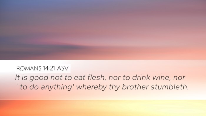 Romans 14:21 ASV Bible Verse Image
