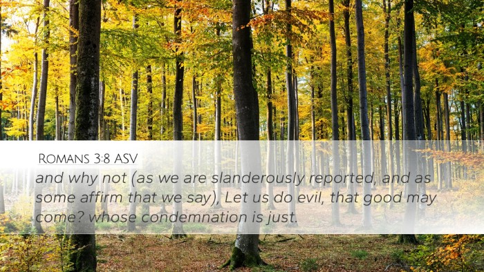 Romans 3:8 ASV Bible Verse Image