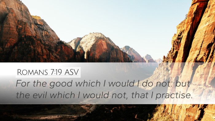 Romans 7:19 ASV Bible Verse Image