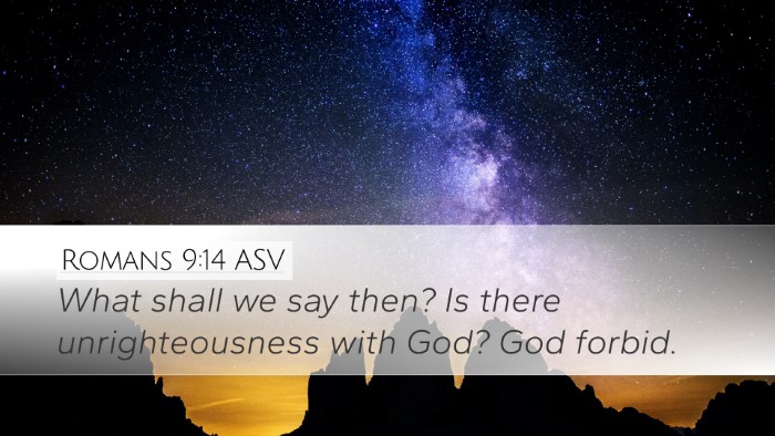 Romans 9:14 ASV Bible Verse Image